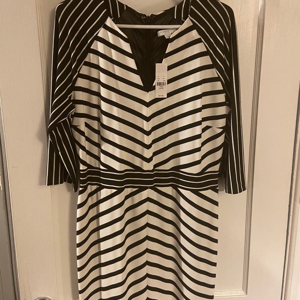 Black & White NY&Co dress